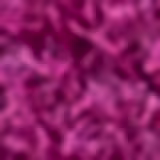 Ana Hickmann Beauty 12Hs Vanda 05 - Batom Líquido 5ml