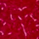 Ana Hickmann Beauty 02 Isabel - Lip Tint 9ml