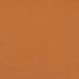 Estée Lauder Double Wear SPF10 4C2 Auburn - Base Líquida 30ml