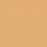 Estée Lauder Double Wear SPF10 2W2 Rattan - Base Líquida 30ml