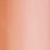 Estée Lauder Double Wear 2N Light Medium - Corretivo Facial 7ml