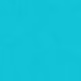 Anita Coisas Que Eu Já Fiz Bloqueei e Fingi Que Não Vi 485 - Esmalte 10ml