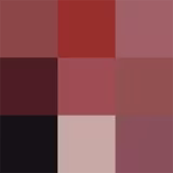 Paleta de Sombras Nina Makeup Instant Pallet de 9,5g