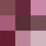 Paleta de Sombras Nina Makeup Instant Pallet de 9,5g