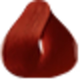 A imagem mostra produtos de coloração de cabelo profissional da marca Paris Cosmetics. Há uma caixa retangular exibindo o logotipo e nome "Paris Cosmetics". Ao lado está um tubo preto brilhante com a mesma marca impressa, contendo o creme colorante.