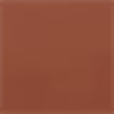 Dalla Makeup Girls Just Wanna Have Fun Cor 03 - Blush Cremoso 9g