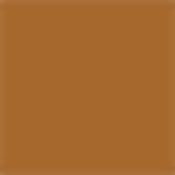 Adcos Fotoproteção Diária Tonalizante Stick FPS55 Bronze - Protetor Solar Facial com Cor 17g
