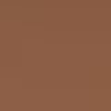 Mantecorp Episol Color FPS 70 Pele Morena - Protetor Solar com Cor 40g