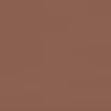 Mantecorp Episol Color FPS 70 Pele Morena Mais - Protetor Solar com Cor 40g