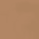 the Balm Balmshelter Medium FPS 18 - Hidratante com Cor 64g