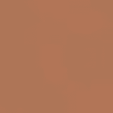 the Balm Balmshelter Dark FPS 18 - Hidratante com Cor 64g