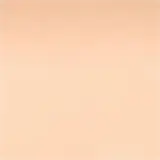 Estée Lauder Double Wear Stay-in-Place Matte FPS 10 1W2 - Base Matte em Pó 12g