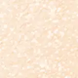 Shiseido Synchro Skin Invisible Silk Loose Radiant - Pó Solto 6g