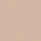Clinique Beyond Perfecting Foundation + Concealer 09 Neutral - Base 2 em 1 30ml