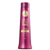 Haskell Liso com Força - Shampoo 500ml