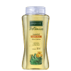 Payot Botânico Calêndula e Aloe Vera - Shampoo 300ml