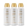 Combo Lily: Desodorante Antitranspirante Aerosol 3x125ml cada Menor preço em Combo Lily: Desodorante Antitranspirante Aerosol 3x125ml cada