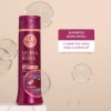 Shampoo Haskell Quina Rosa 1L