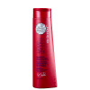Joico Color Endure Violet - Shampoo Desamarelador 300ml