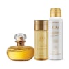 Combo Lily Le Parfum: Perfume 30ml + Óleo Perfumado Corporal 150ml + Desodorante Antitranspirante 125ml Menor preço em Combo Lily Le Parfum: Perfume 30ml + Óleo Perfumado Corporal 150ml + Desodorante Antitranspirante 125ml