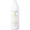 Alfaparf Precious Nature Prickly Pear & Orange - Shampoo sem Sulfato 1000ml