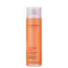 Cadiveu Professional Essentials Bye Bye Frizz Conditioner - Condicionador 250ml