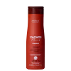 Arvensis Cosméticos Naturais Cachos Naturais - Shampoo 300ml