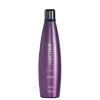 Aneethun No Frizz System - Shampoo Defrizante 300ml