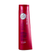Joico Color Endure Violet - Shampoo Desamarelador 300ml