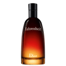 Fahrenheit Dior Eau de Toilette - Perfume Masculino 100ml