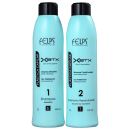 Kit Felps Profissional Plástica Capilar XBTX Salão (2 Produtos)