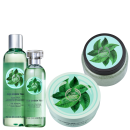 Kit The Body Shop Fuji Green Tea Intenso (4 Produtos)