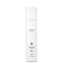 L'Anza Healing Nourish Stimulating - Shampoo Antiqueda 300ml