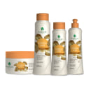 Kit Paresí Nature Força Total Quarteto, 4 produtos.