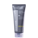Vizcaya Silver Touch - Shampoo 200ml