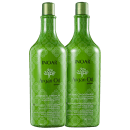 Kit Inoar Argan Oil System Argan Oil Salon Duo (2 Produtos)