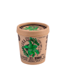 Lola Cosmetics Segura Essa Marimba Detox Purificante - Creme Hidratante Corporal 230g