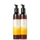 Kit Santapele Ananás e Flor de Ipê Corpo (2 Produtos)