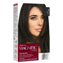 Amend Magnific Color 1 Preto - Coloração 200g