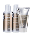 Kit Joico Blonde Life Trio Miniatura (3 Produtos)