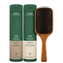 Kit Aveda Sap Moss Mega