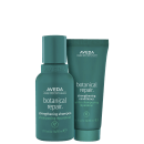 Kit Aveda Botanical Repair Duo Mini (2 Produtos)