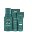 Kit Aveda Botanical Repair Tríade Mini