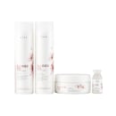 Kit Braé Blonde Oil by Ana Paula Siebert Quarteto Squad, 4 produtos.