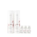 Kit Braé Blonde Oil by Ana Paula Siebert Quinteto Power, 5 produtos.