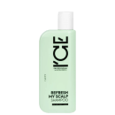 Frasco plástico verde-claro com rótulo preto e branco da marca Ice Professional, contendo shampoo para refrescar o couro cabeludo, indicado para todos os tipos de cabelo.