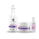 Linha de tratamento capilar da marca TreeLiss Profissional. Consiste em um shampoo em frasco de 300ml, uma máscara capilar em embalagem de 250g e um leave-in em frasco spray de 60ml.