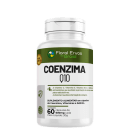 Suplemento alimentar em cápsulas de Coenzima Q10. Rótulo verde com o nome do produto "COENZIMA Q10" em letras grandes brancas. Contém 60 cápsulas de 600mg cada.