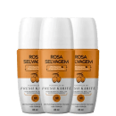 Três frascos de desodorante roll-on da marca Rosa Selvagem, com fragrância de karité, em embalagens brancas com detalhes laranja e rótulos indicando proteção e duração de 48 horas.