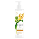 Dove Poder das Plantas - Purificação e Gengibre - Condicionador 300ml